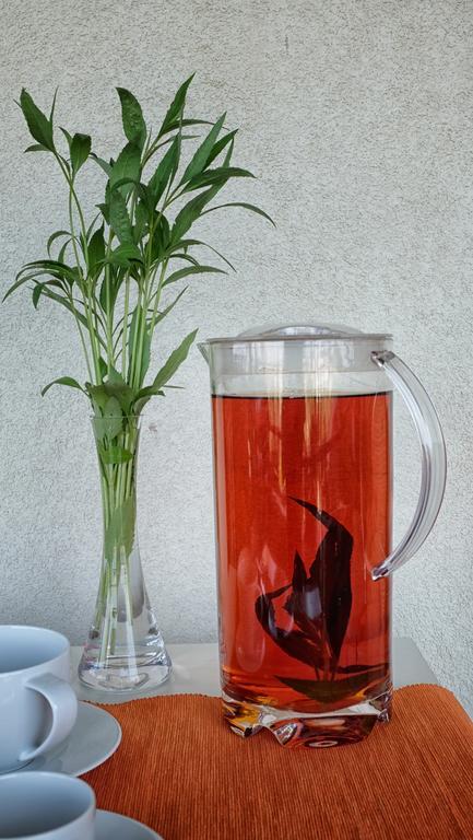 B&B Le Rose Siderno Zewnętrze zdjęcie
